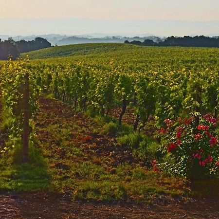Agriturismo Fattoria Il Piano - Appartamento Focolare - San Gimignano Esterno foto