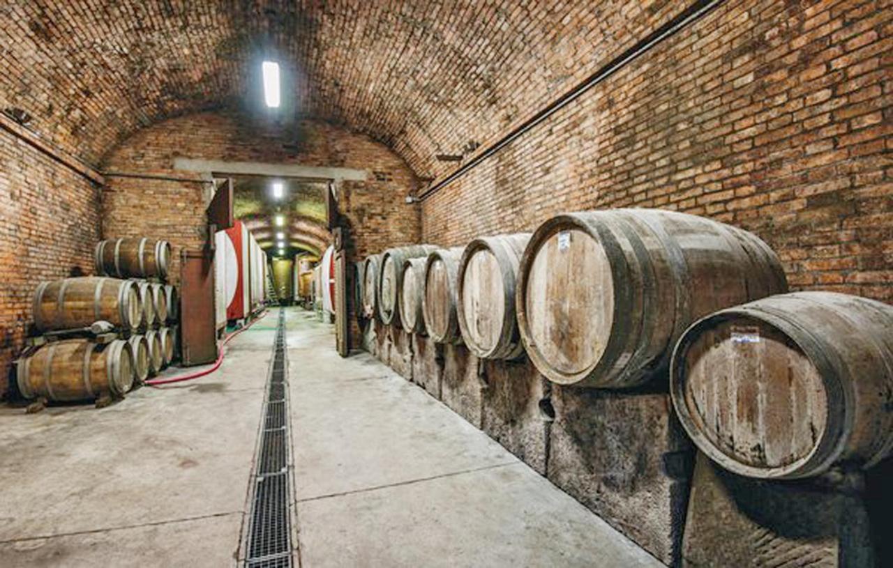 Agriturismo Fattoria Il Piano - Appartamento Focolare - San Gimignano Esterno foto